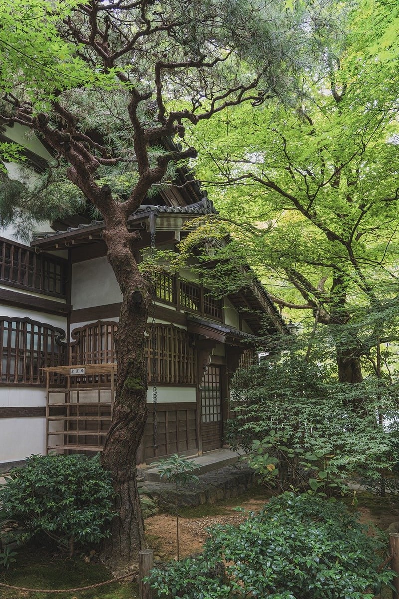 Serene Zen Courtyard